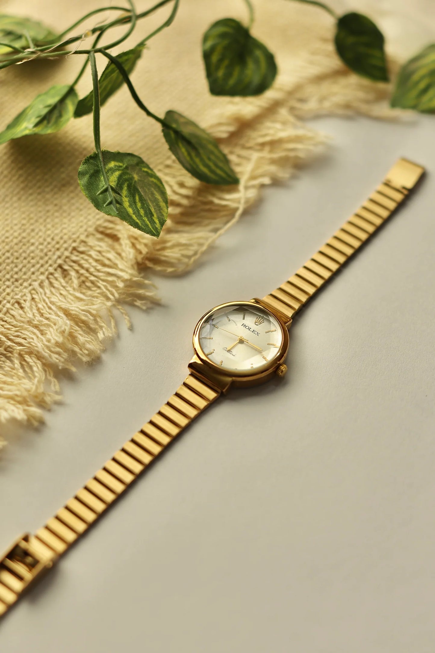 Premium Rolex Round
