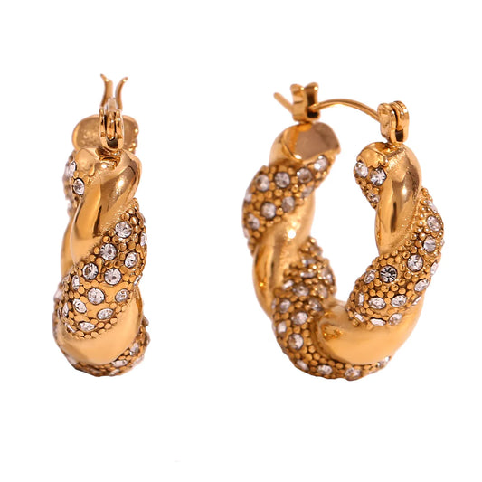 Donna Crystal Twisted Earrings